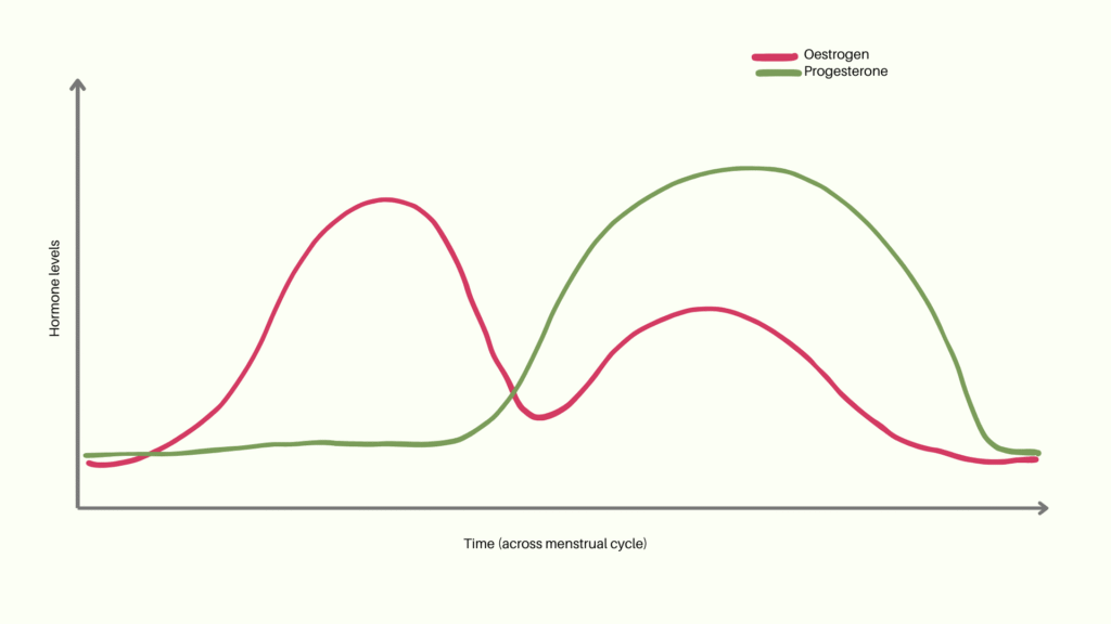 Menstrual cycle hormonal chart - naturally gina nutrition - nutritionist in chelmsford