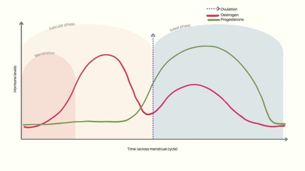 Menstrual cycle hormonal chart - and phases naturally gina nutrition - nutritionist in chelmsford