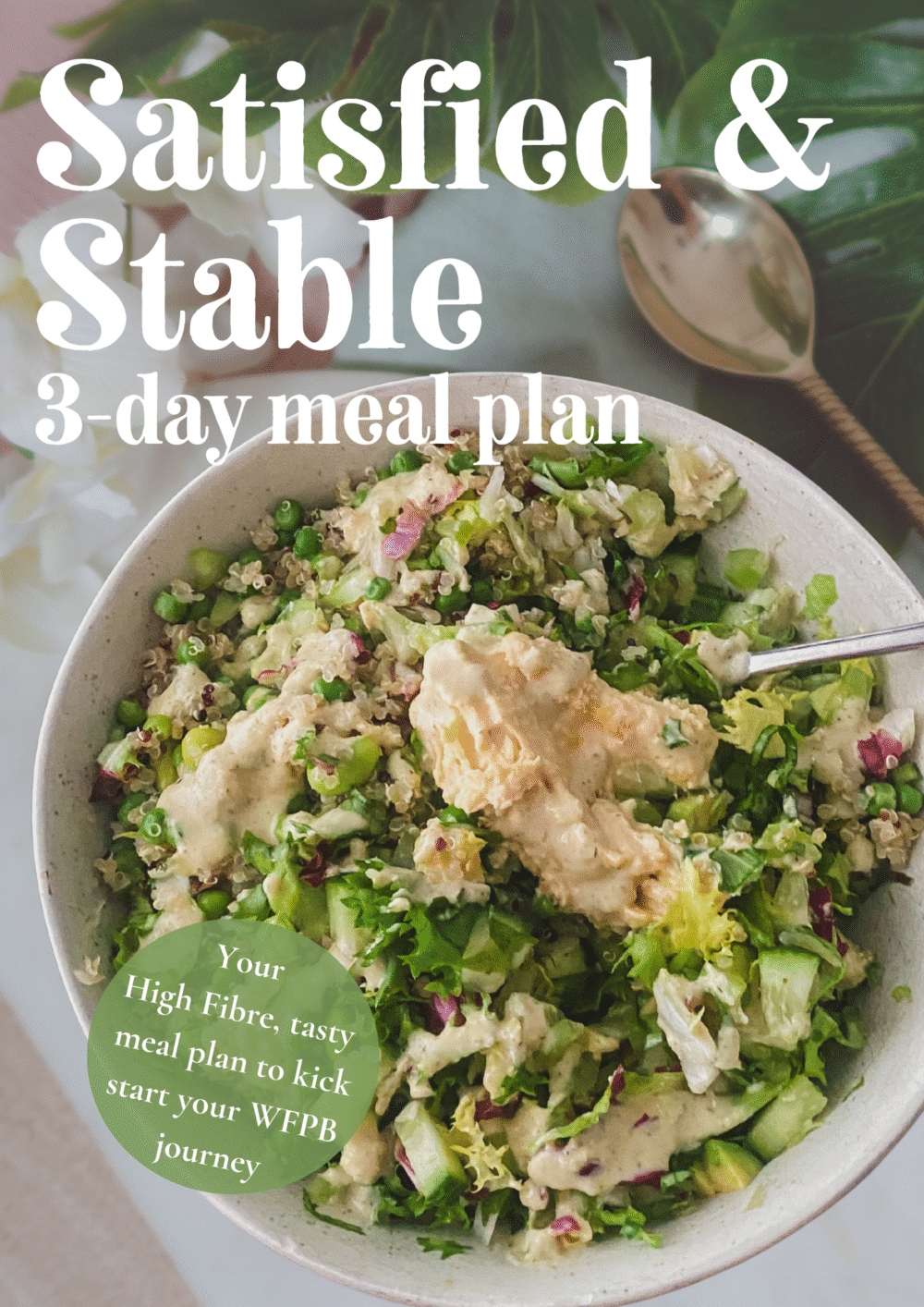 Satisfied & Stable - The 3-day meal plan